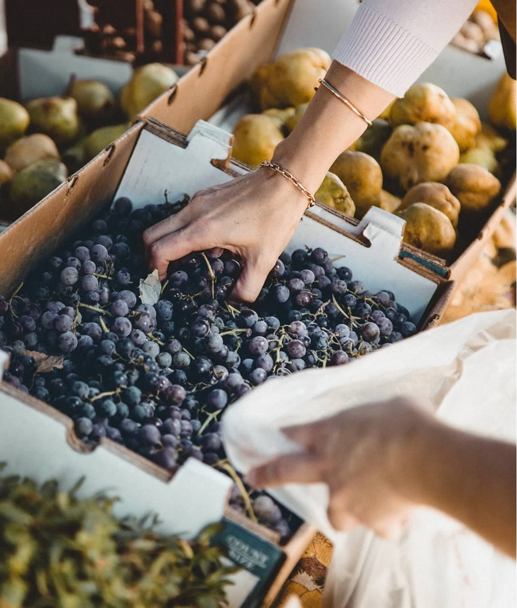 Compelling web copy for an eco-leader